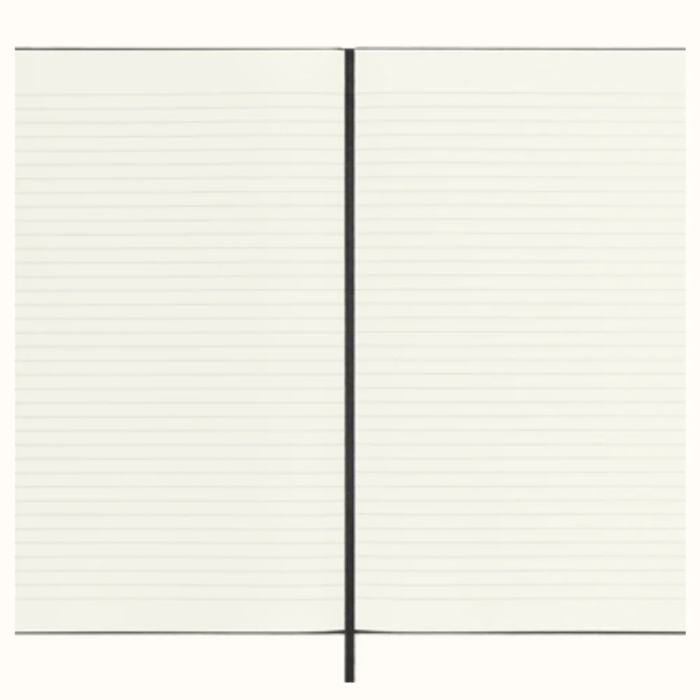 Moleskine classic notebook